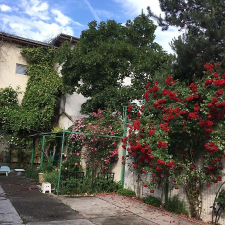 Vila 2 Bükreş Dış mekan fotoğraf